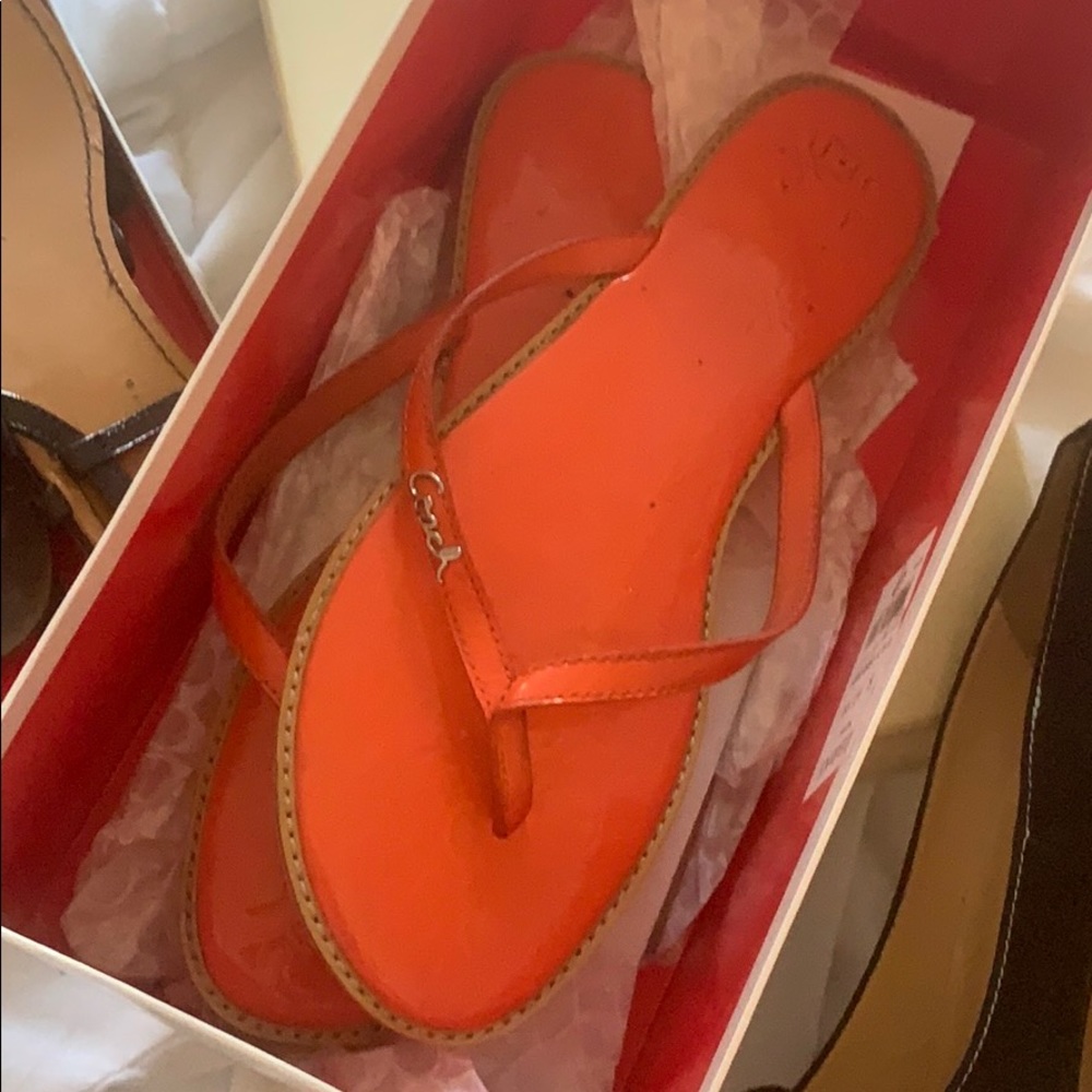Coach jelly sandals worn 3x